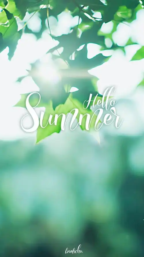 你好夏天小清新带字,高清图片,手机锁屏桌面-壁纸族