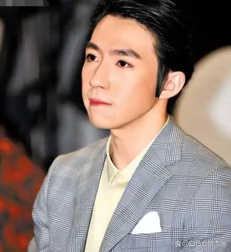 从"坠入低谷"到"浴火重生","糊咖"的帽子,被俞灏明摘掉了