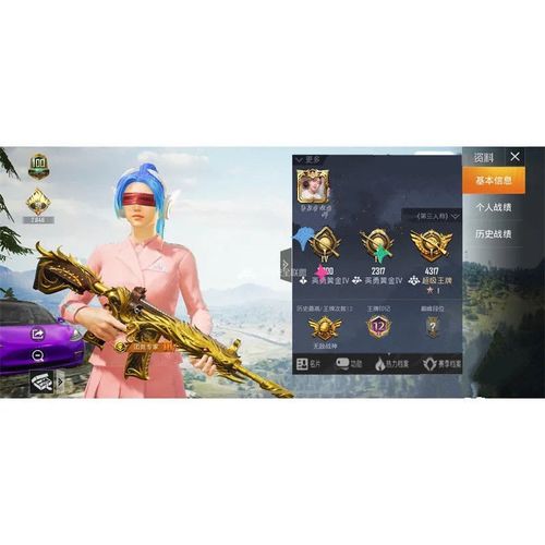 和平精英永久账号367套装56粉25载具满特效新老101木乃尹极品账号