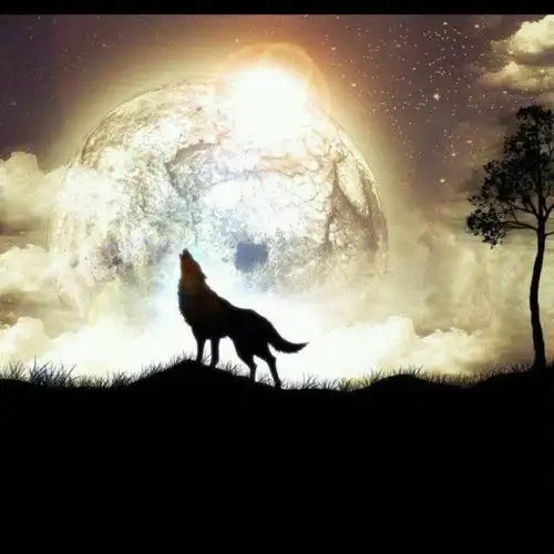 啸月天狼-谁是谁老公全是临时工- 全民k歌,ktv交友社区