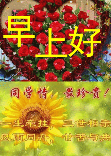 最新问候老同学的早上好带文字图片同学情最珍贵相遇是缘好好珍惜