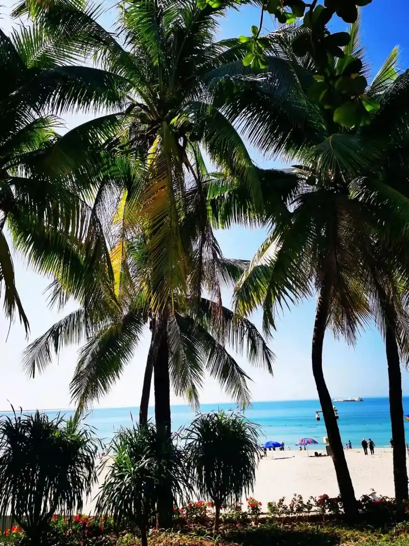 22年2月28日,清空万里,艳阳高照,我们驱车行走在阳光明媚 - 抖音