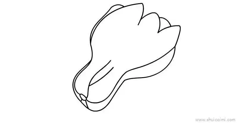 青菜儿童画怎么画 青菜简笔画简单又好看