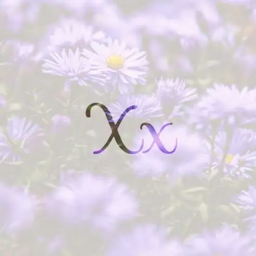 xx,字母壁纸,liaojing卡诺原创,盗图狗快滚