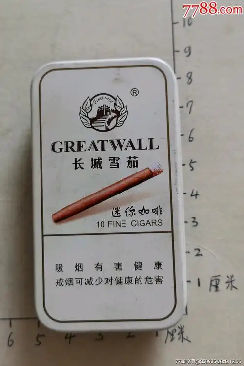 长城雪茄迷你咖啡10支装铁盒3d烟盒