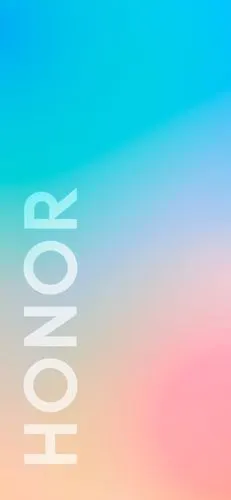 荣耀大logo后壳壁纸