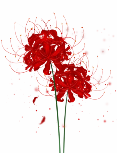 古风彼岸花素材