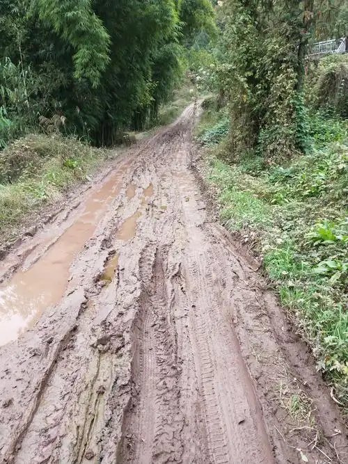 槐树村二社的烂泥巴路烂成这样,不摆了,哎!