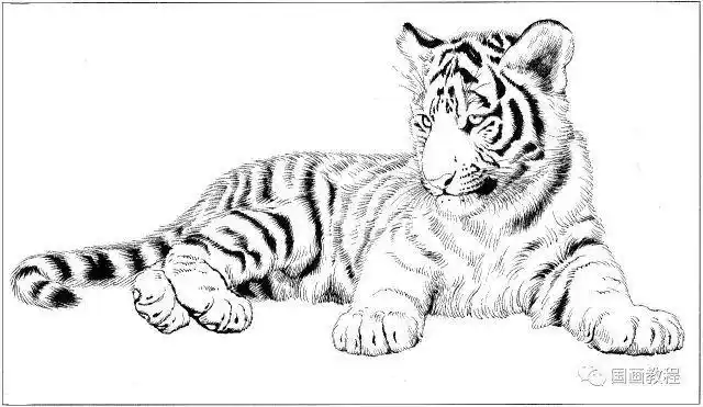 100副老虎,马等各种动物的白描合集(太全了,转发收藏了~)_国画