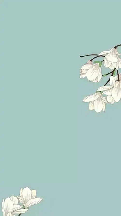 700_1244竖版 竖屏