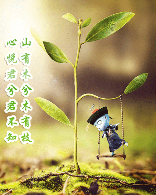 "心悦"动态萌图:山有木兮木有枝,心悦君兮君不知|心悦|动态|壁纸_新浪