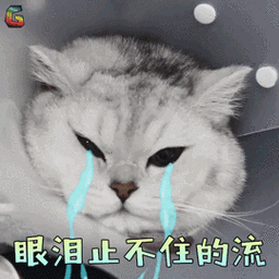 萌宠猫眼泪止不住的流伤心soogifsoogif出品gif动图_动态图_表情包