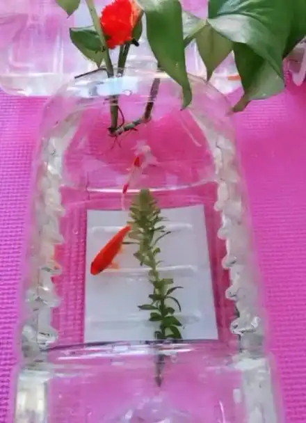 鱼缸不用花钱买,油桶做个串联鱼缸