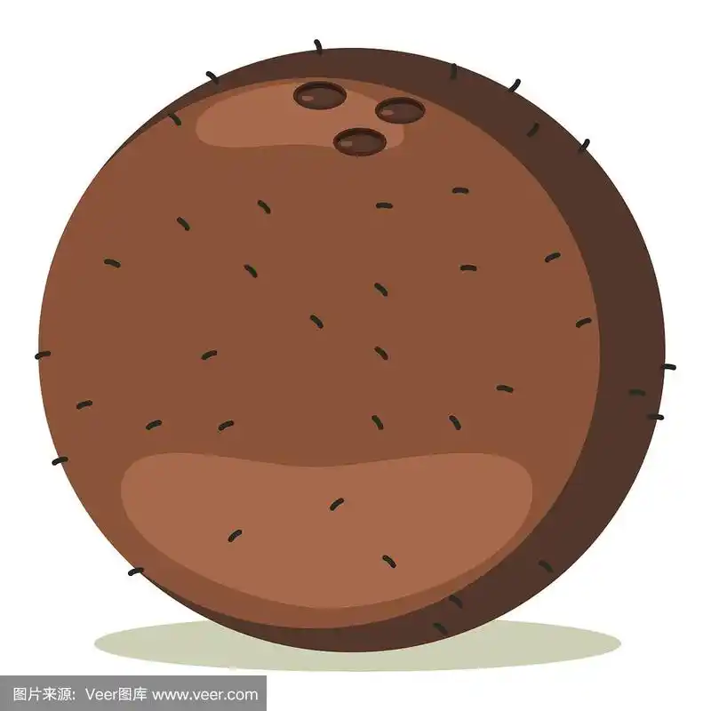 椰子水果卡通矢量插图孤立在白色的背景.