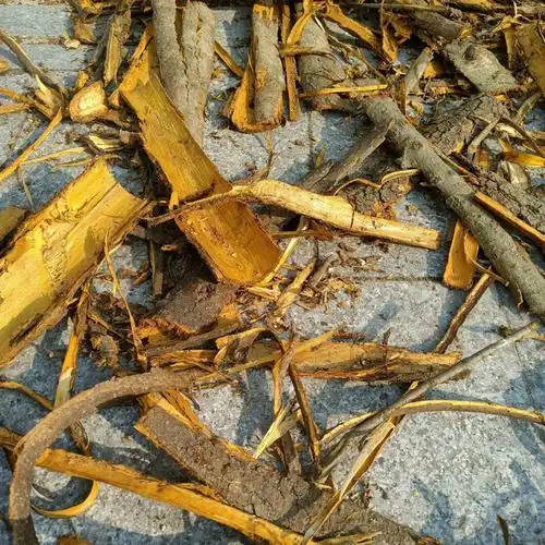 黄柏皮数量少欲购从速