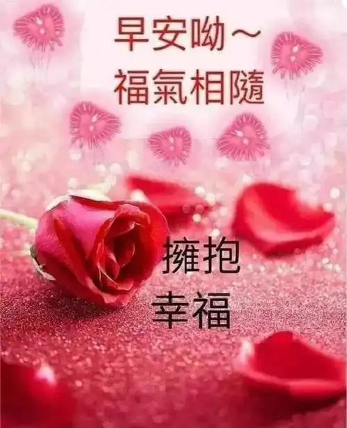 2019最新版幸福暖心的漂亮表情早安带字带问候语