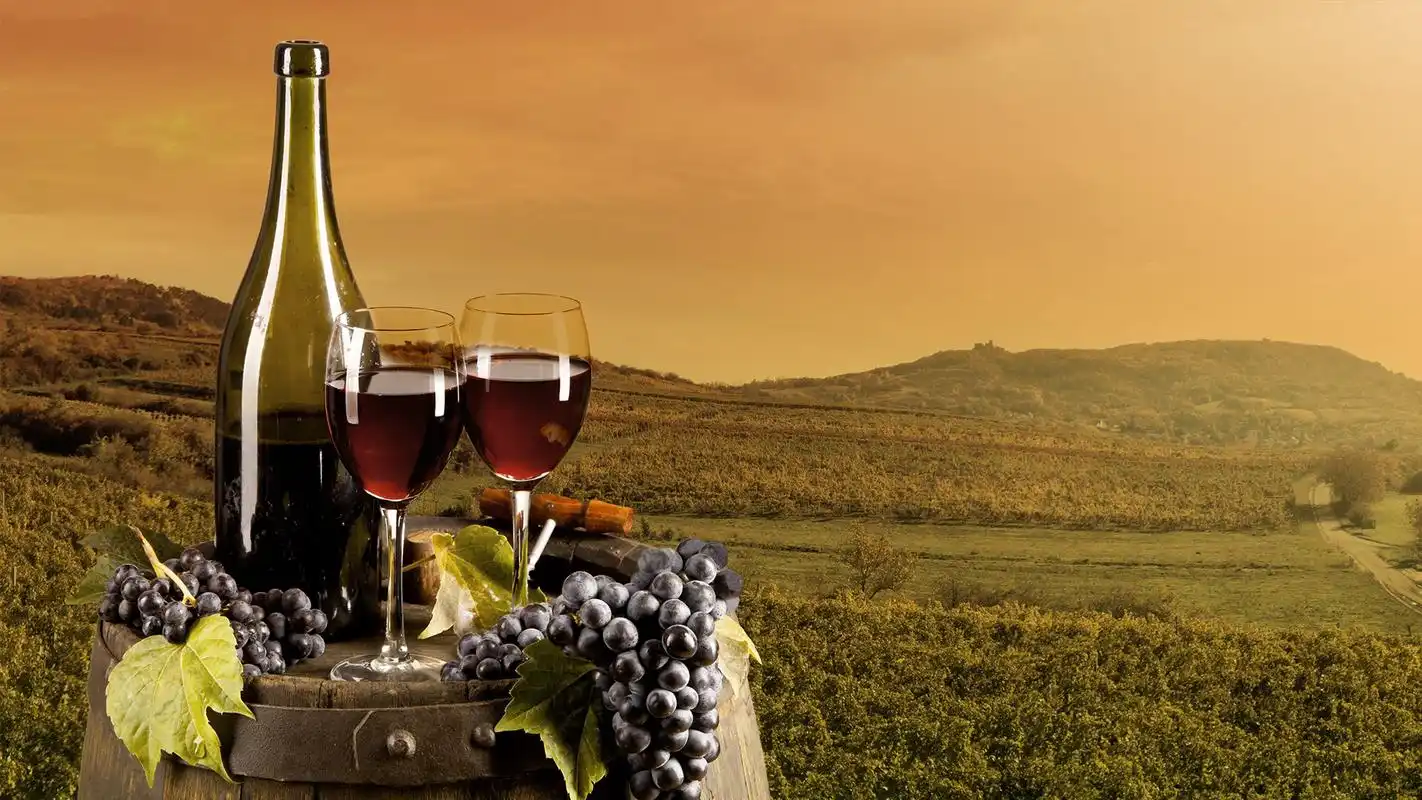 最美味葡萄酒高清桌面壁纸 第一辑