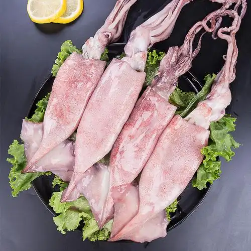 鱿鱼鲜活冷冻超大爆头八爪鱼青岛海鲜水产生鲜冷冻鱿鱼