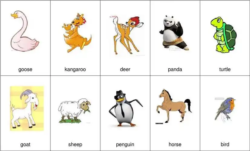 动物英语卡片