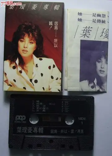 叶瑷菱-因为.所以