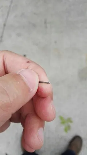 急急!后胎凹槽发现戳了个钉子,大概有5毫米