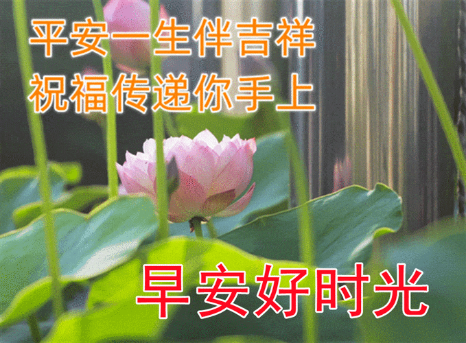 8张最美夏日风景早上好图片带字带祝福语 好看的朋友圈早安问候祝福语