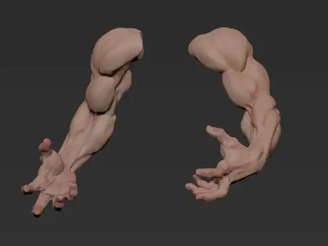 「绘画素材」肌肉与力量美!来一波​大佬的"3d手臂建模"参考_perdom