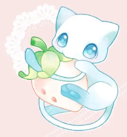 【精灵宝可梦/神奇宝贝/宝可梦】梦幻