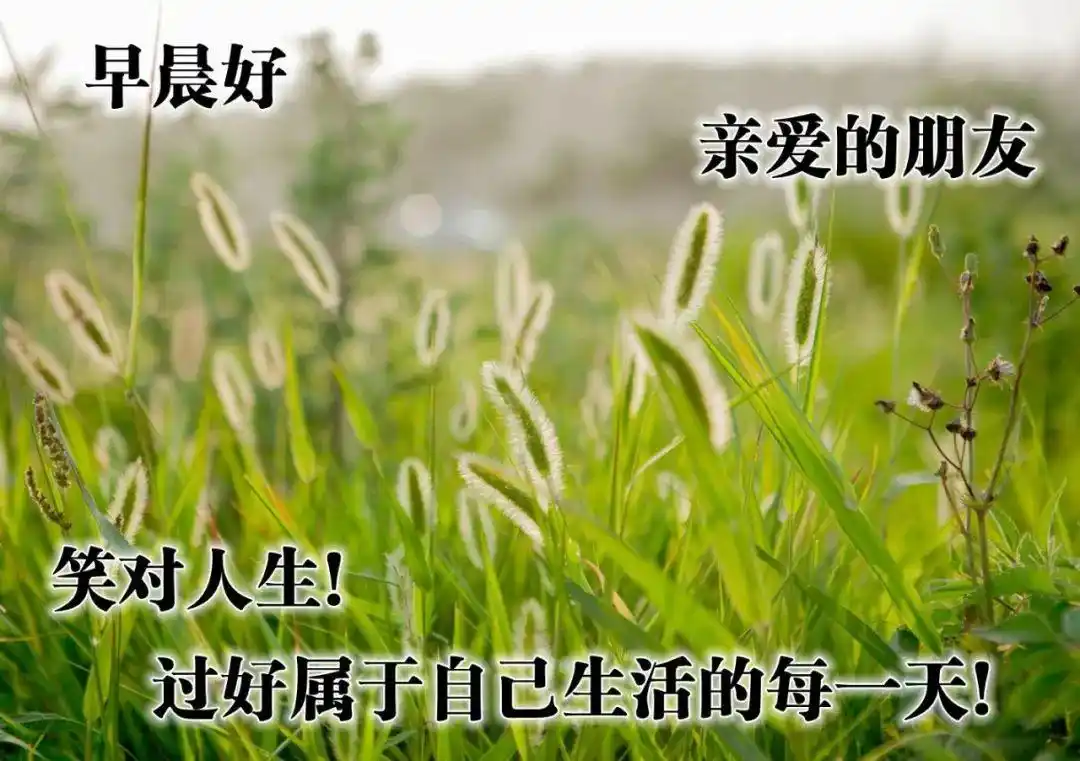 早上好我亲爱的朋友们最常用的早安祝福图片,愿你幸福每一秒
