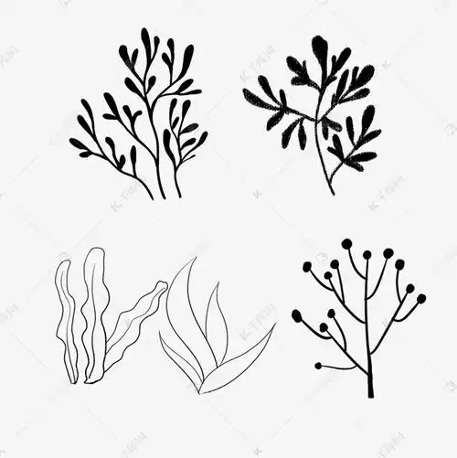 手绘绿色海藻类线图