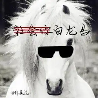 白龙马