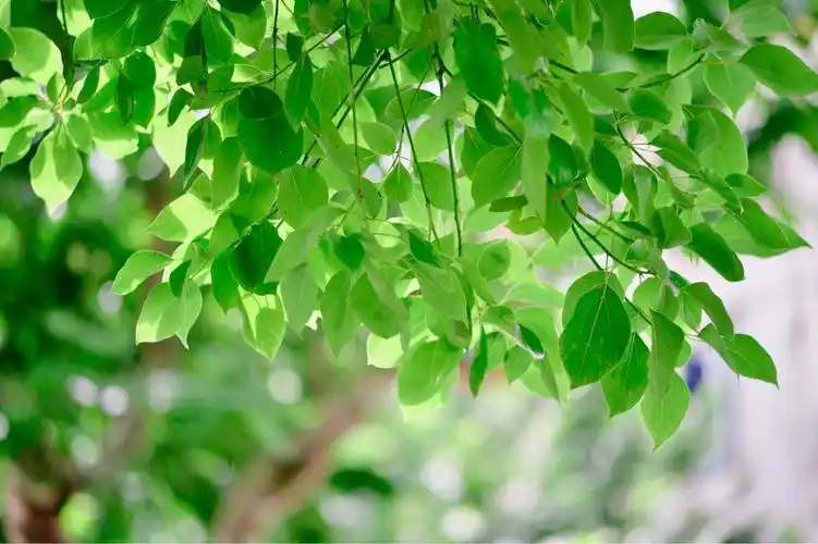 2021年购买尼康df合适么相当于什么级别的机器