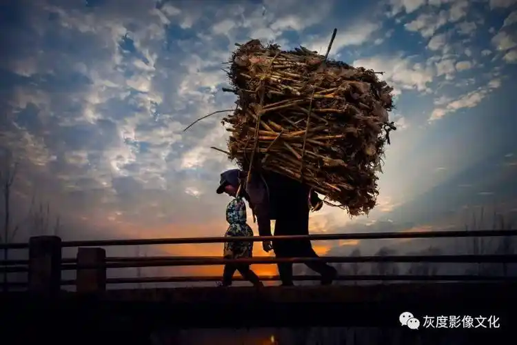 原创dianaguo十幅优秀作品通过英国皇家摄影学会学士名衔考级