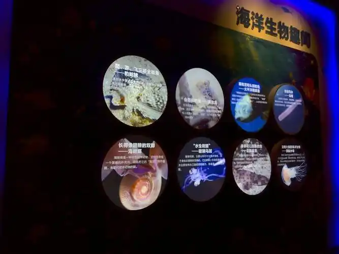 海洋科普馆