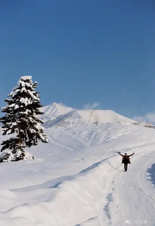 甘望星圣诞雪景随拍##甘望星冬日雪地随拍