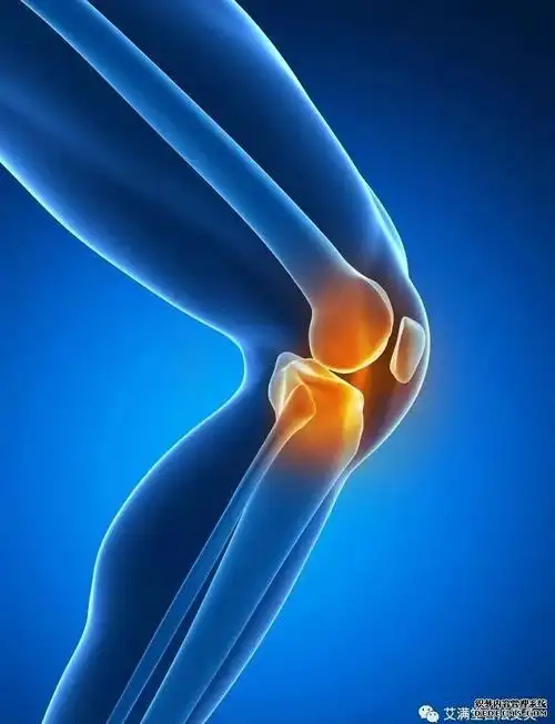 每个年龄段如何保养膝盖超全特实用