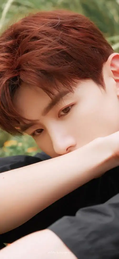 白敬亭 08落枫·忆秋