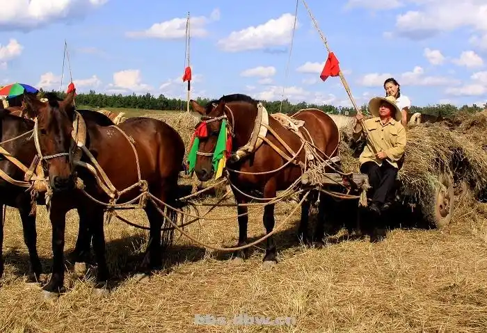 清雪如沙的博客
