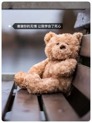 谢谢你的无情让我学会了死心带字微信头像