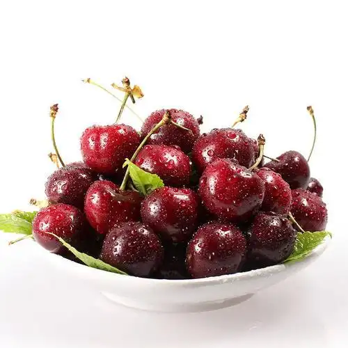 厦门进口阿根廷车厘子怎么找备案冷库