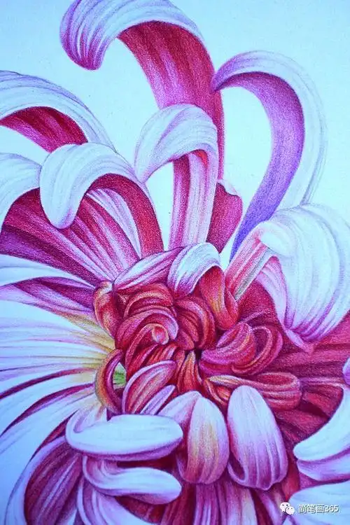 花卉简笔画颜色彩铅 简笔画图片大全-蒲城教育文学网