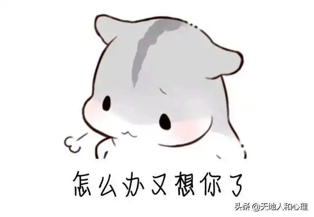 但是表情包,段子则不一样,用这些东西做开场白,直接就可以展现你的