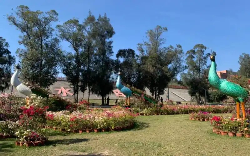 石狮花海谷旅游区