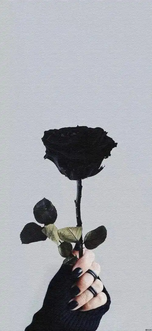 快手最火手机壁纸丨跟着大哥混三天饿九顿