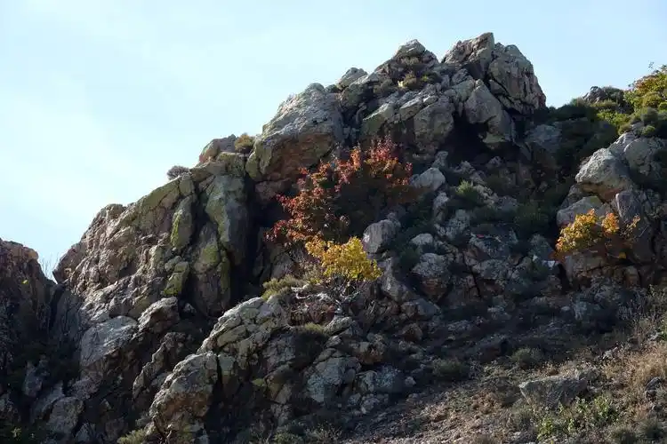 枫叶小山包 ,【原创】