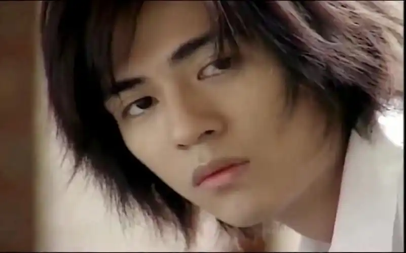 【周渝民·花泽类】【流星花园】你的笑一尘不染的纯白~仔仔就是最帅