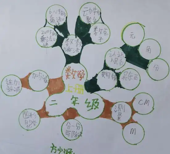 阳光八班二年级(上)数学期末总复习思维导图