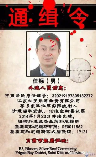 中国正全球通缉22名要犯 涉嫌职务经济犯罪向全球发出通缉令