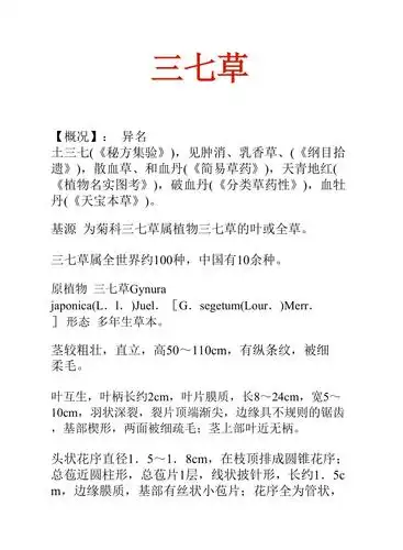 中药知识文库三七草
