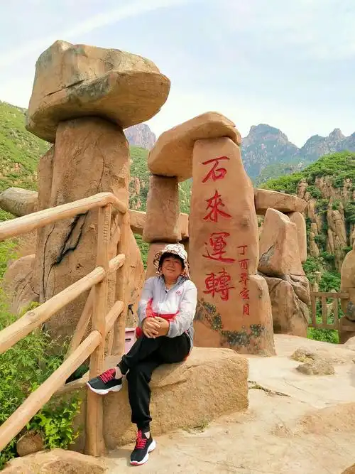 它的的谐音字是这个(时来运转)